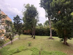 Ivory Heights (D22), Condominium #455839441